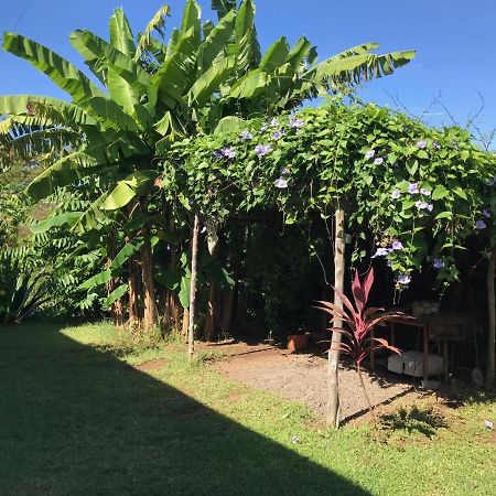 Villa Les Hibiscus Ambondrona  Exterior foto